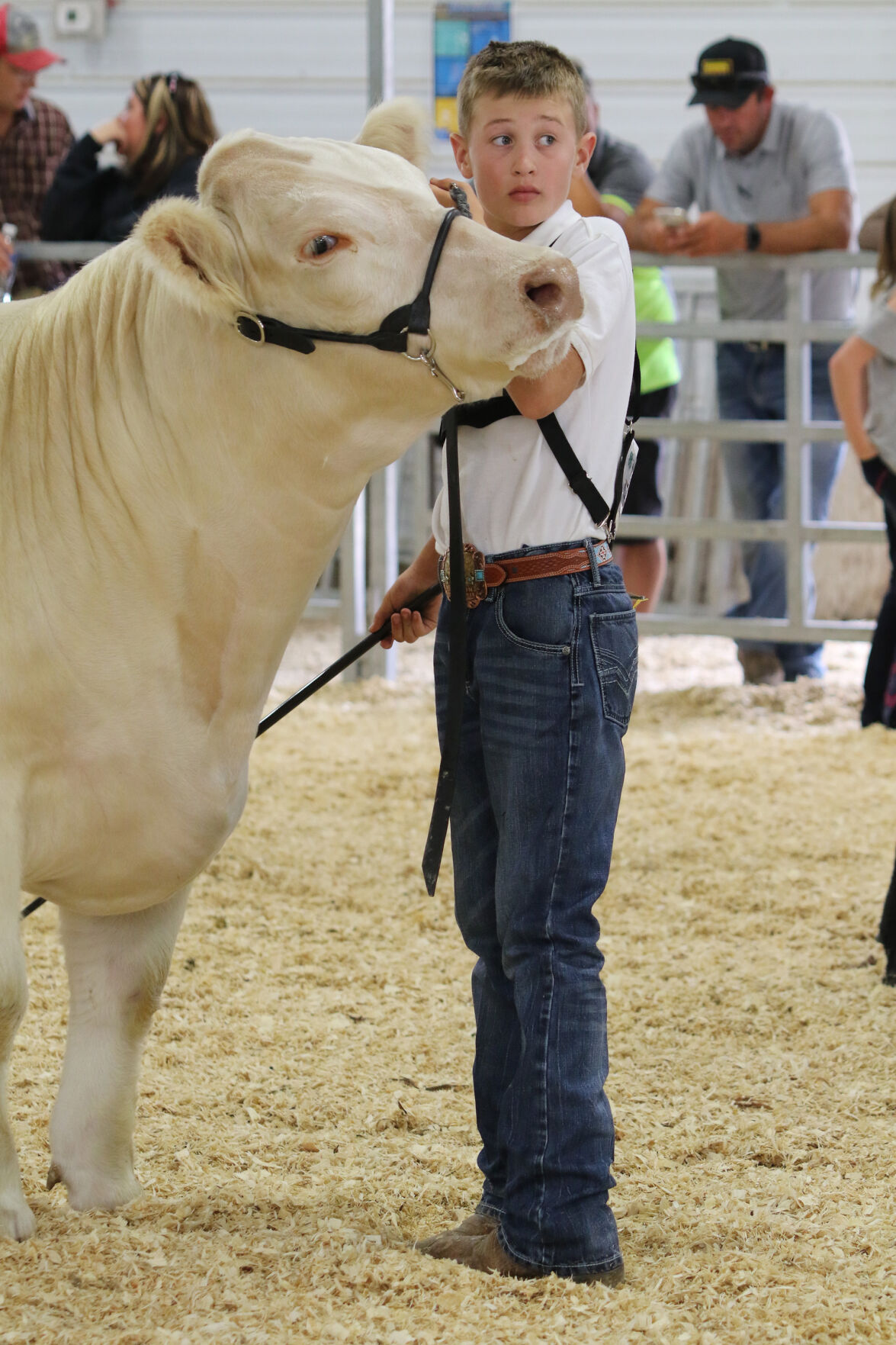 PHOTOS: Market Beef Show 2020